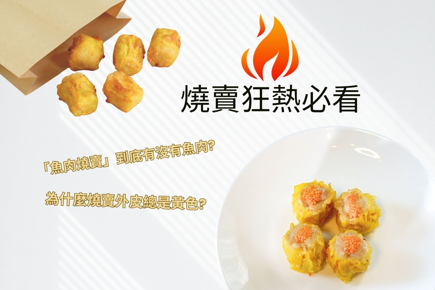 香港燒賣宇宙 - 魚肉燒賣與茶樓乾蒸燒賣介紹