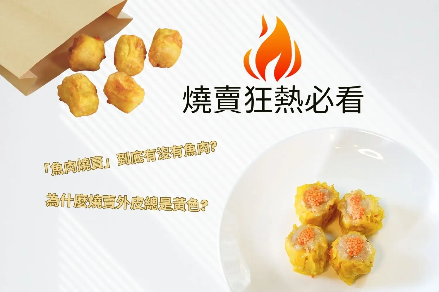 香港燒賣宇宙 - 魚肉燒賣與茶樓乾蒸燒賣介紹